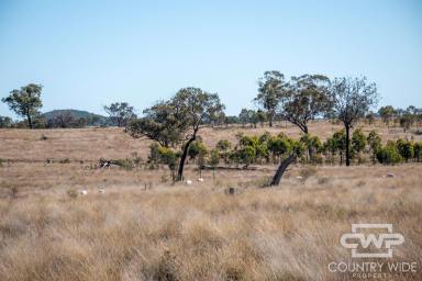 Lifestyle For Sale - NSW - Tenterfield - 2372 - Small Rural Block with Water, Views & Grazing Potential  (Image 2)