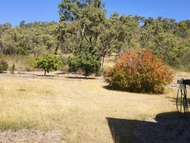 House For Sale - QLD - Koongal - 4701 - Country Charm Meets Convenience – 3,951m² in Leafy Koongal  (Image 2)
