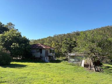 House For Sale - QLD - Koongal - 4701 - Country Charm Meets Convenience – 3,951m² in Leafy Koongal  (Image 2)