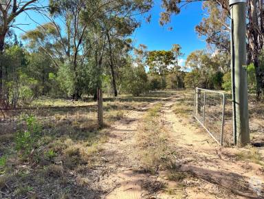 Residential Block For Sale - NSW - Narrabri - 2390 - PRIVATE KAPUTAR ROAD HOLDING - 2HA WITH POTENTIAL  (Image 2)