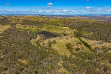 Farmlet Auction - NSW - Crooked Corner - 2583 - Comfort in Every Season  (Image 2)