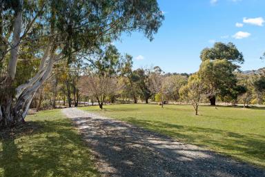 Farmlet Auction - NSW - Crooked Corner - 2583 - Comfort in Every Season  (Image 2)