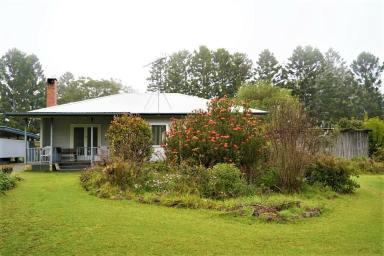Livestock For Sale - NSW - Kyogle - 2474 - "TOP OF THE RANGE"  (Image 2)