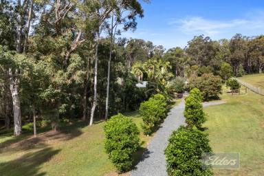 House For Sale - QLD - Pie Creek - 4570 - A Hidden Subtropical Oasis on 4.4 Acres – Character, Charm & Complete Tranquility  (Image 2)
