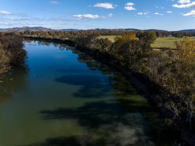 Livestock For Sale - NSW - Albury - 2640 - "Riverbend"

Albury, NSW

Approx. 2.5km Murray River frontage

A magnificent lifestyle combined with income  (Image 2)