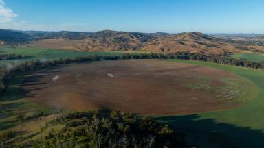 Mixed Farming For Sale - NSW - Manilla - 2346 - NEW ENGLAND CROPPING POWERHOUSE  (Image 2)