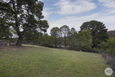 Residential Block For Sale - VIC - Mount Egerton - 3352 - Over Half An Acre With Permit And Power - Build Your Private Sanctuary In Nature  (Image 2)