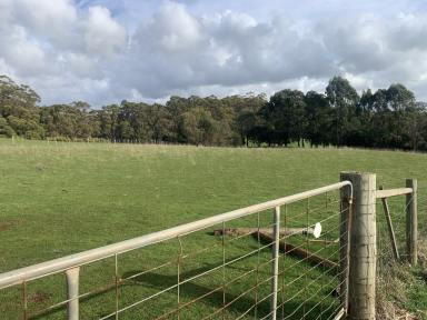 Mixed Farming For Sale - TAS - Moorleah - 7325 - Studderds Road — 20.6ha of Untapped Potential  (Image 2)