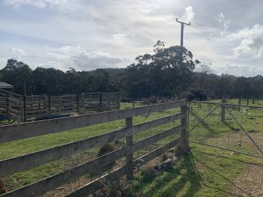 Mixed Farming For Sale - TAS - Moorleah - 7325 - Studderds Road — 20.6ha of Untapped Potential  (Image 2)