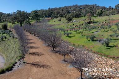 Residential Block For Sale - WA - Baskerville - 6056 - Magnifiecient Block with A View  (Image 2)