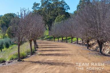 Residential Block For Sale - WA - Baskerville - 6056 - Magnifiecient Block with A View  (Image 2)