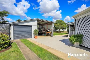 House For Sale - QLD - Bundaberg East - 4670 - Flawless Investment on a Huge 1009sqm Block - Close to the CBD!  (Image 2)