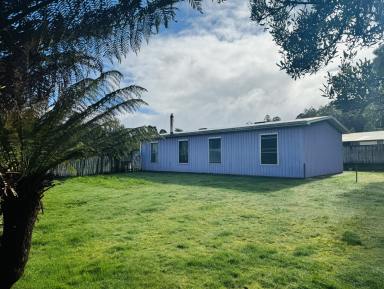House For Sale - TAS - Rosebery - 7470 - Nestled in Nature  (Image 2)