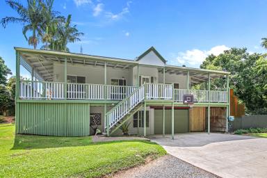 House For Sale - QLD - Cooroy - 4563 - Character Queenslander with Pool, Shed & Picturesque Acreage  (Image 2)