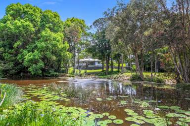 House For Sale - QLD - Cooroy - 4563 - Character Queenslander with Pool, Shed & Picturesque Acreage  (Image 2)