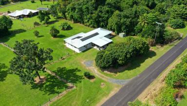 House For Sale - QLD - Bulgun - 4854 - Acreage with Creekside Serenity and Room to Grow  (Image 2)