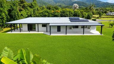 House For Sale - QLD - Bulgun - 4854 - Acreage with Modern Home  (Image 2)