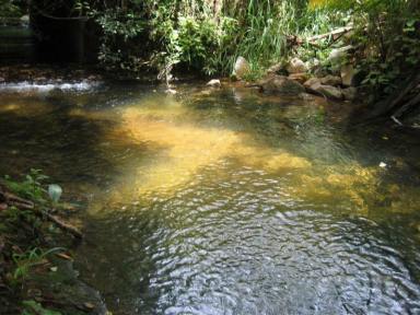 House For Sale - QLD - Bulgun - 4854 - Acreage with Creekside Serenity and Room to Grow  (Image 2)