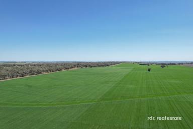 Mixed Farming For Sale - NSW - Delungra - 2403 - "BELLA" - THE BEST OF COUNTRY LIVING  (Image 2)