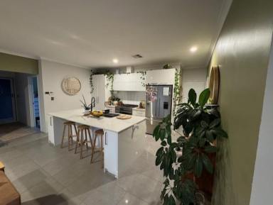 House For Sale - WA - Heathridge - 6027 - 5 Years young!  (Image 2)