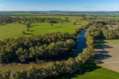 Mixed Farming Auction - NSW - Wagga Wagga - 2650 - Estate Finalisation on the Murrumbidgee  (Image 2)