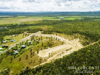 Residential Block For Sale - QLD - Mareeba - 4880 - DISCOVER YOUR PERFECT BALANCE AT COUNTRY ROAD ESTATE  (Image 2)
