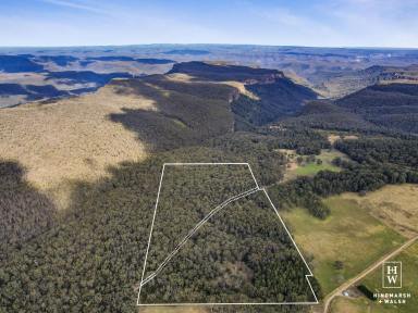 Lifestyle Sold - NSW - Meryla - 2577 - Private 40-Acre Retreat Just 25–30 Minutes from Moss Vale  (Image 2)