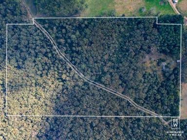 Lifestyle Sold - NSW - Meryla - 2577 - Private 40-Acre Retreat Just 25–30 Minutes from Moss Vale  (Image 2)
