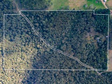 Lifestyle Sold - NSW - Meryla - 2577 - Private 40-Acre Retreat Just 25–30 Minutes from Moss Vale  (Image 2)