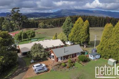 House For Sale - TAS - Lilydale - 7268 - Everything a Family Could Need, and More  (Image 2)