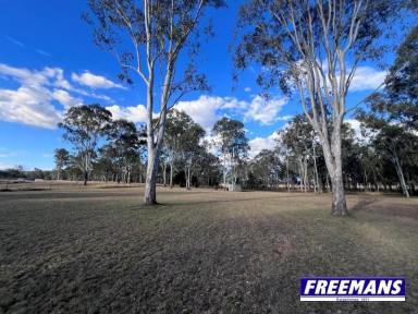 Residential Block For Sale - QLD - Wattle Camp - 4615 - Beautifully maintained 6.2 acres  (Image 2)
