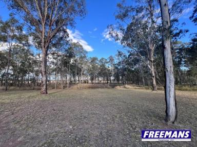 Residential Block For Sale - QLD - Wattle Camp - 4615 - Beautifully maintained 6.2 acres  (Image 2)