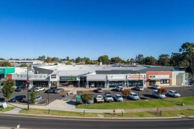 Retail Leased - WA - Manjimup - 6258 - PRIME LOCATION AT MANJIMUP VILLAGE SHOPPING CENTRE  (Image 2)
