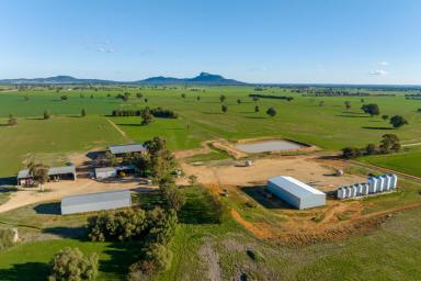 Mixed Farming Auction - NSW - The Rock - 2655 - Large Scale Turnkey Operation  (Image 2)