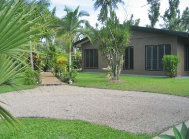 House For Sale - QLD - Cardwell - 4849 - Tropical Family Retreat – 4 Bedrooms + Office, Lap Pool & Massive 7x13m Shed  (Image 2)