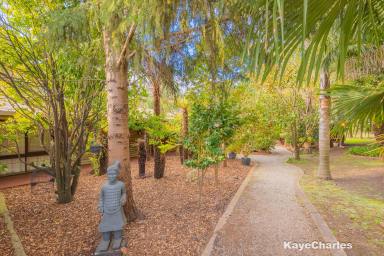 Acreage/Semi-rural For Sale - VIC - Narre Warren East - 3804 - Rural Bliss  (Image 2)