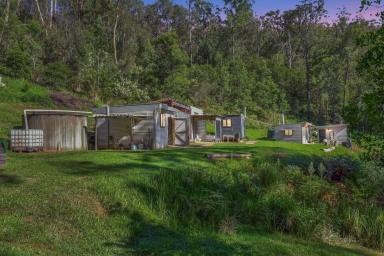 Lifestyle For Sale - NSW - Laguna - 2325 - 40 Acre Weekender Retreat  (Image 2)