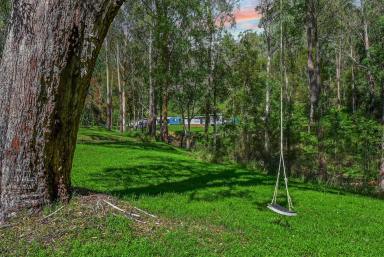 Lifestyle For Sale - NSW - Laguna - 2325 - 40 Acre Weekender Retreat  (Image 2)