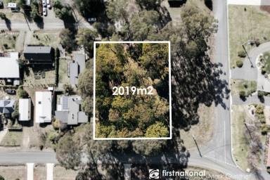 Residential Block For Sale - VIC - Marysville - 3779 - Your Slice of Marysville – Tranquil Living, Endless Potential  (Image 2)