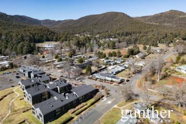 Residential Block For Sale - VIC - Marysville - 3779 - Your Slice of Marysville – Tranquil Living, Endless Potential (Image 2)