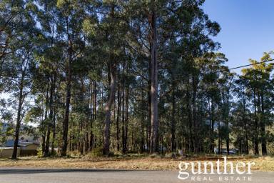 Residential Block For Sale - VIC - Marysville - 3779 - Your Slice of Marysville – Tranquil Living, Endless Potential  (Image 2)