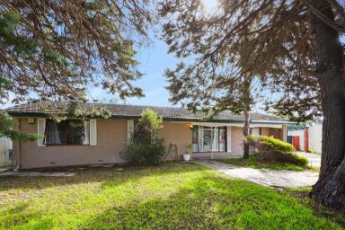 House For Sale - WA - Craigie - 6025 - When Pure Possibility Beckons!  (Image 2)
