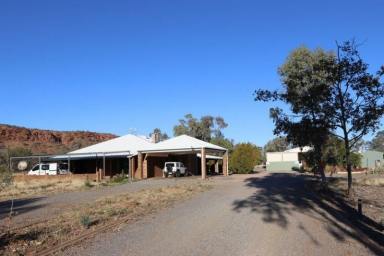 Lifestyle For Sale - NT - Alice Springs - 0870 - Property with 2 Residences & 2 Galleries on 6.5 acres  (Image 2)