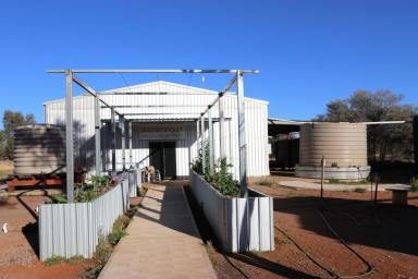 Business For Sale - NT - Alice Springs - 0870 - Property with 2 Residences & 2 Galleries on 6.5 acres  (Image 2)