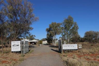 Retail For Sale - NT - Ilparpa - 0873 - A Rare Commercial Freehold & Business Opportunity only 10 minutes drive from Alice Springs  (Image 2)