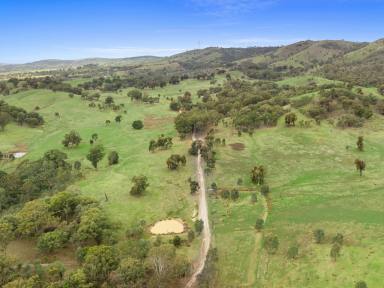 Livestock For Sale - VIC - Seymour - 3660 - ROLLING HILLS IN WHITEHEADS CREEK  (Image 2)
