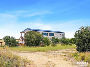 House For Sale - TAS - Dolphin Sands - 7190 - Dolphin Sands Dreaming  (Image 2)