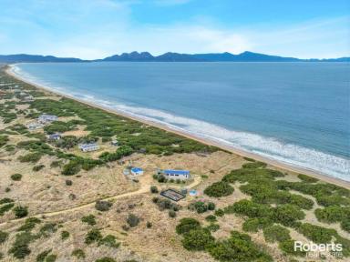 House For Sale - TAS - Dolphin Sands - 7190 - Dolphin Sands Dreaming  (Image 2)