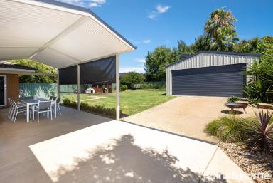 House For Lease - NSW - Kooringal - 2650 - FAMILY-FRIENDLY LIVING WITH SPACE, COMFORT & BONUS FEATURES!  (Image 2)