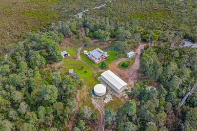 Lifestyle For Sale - WA - Northcliffe - 6262 - 106 Acres of Off-Grid Freedom in Magical Meerup  (Image 2)